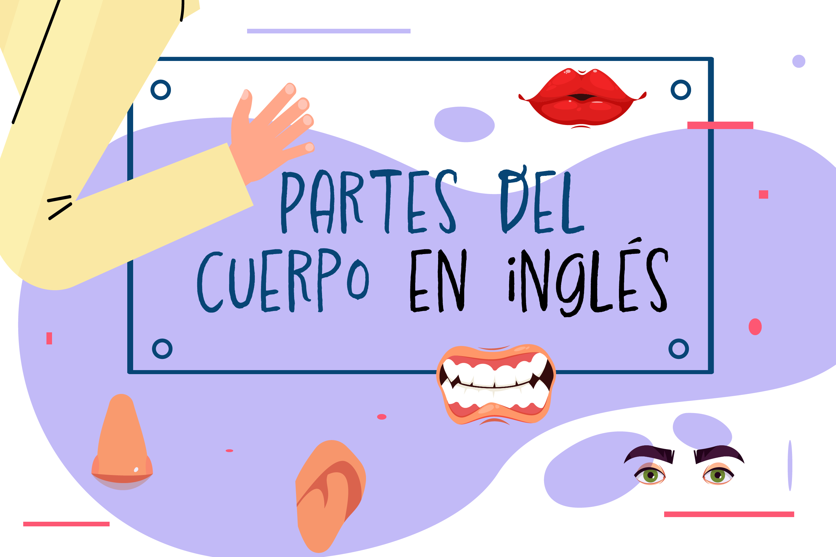 Partes del cuerpo en inglés Gymglish