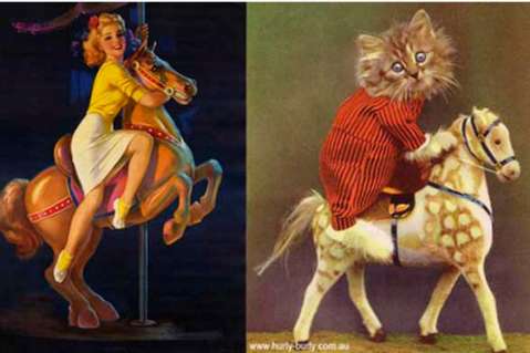Glamurosos felinos posando como modelos Pin Up