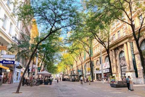 Eficiencia urbana: movilidad y sostenibilidad en tiempos de crisis climática