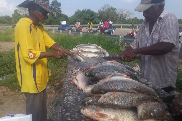 En San Marcos pan y pescado a $200