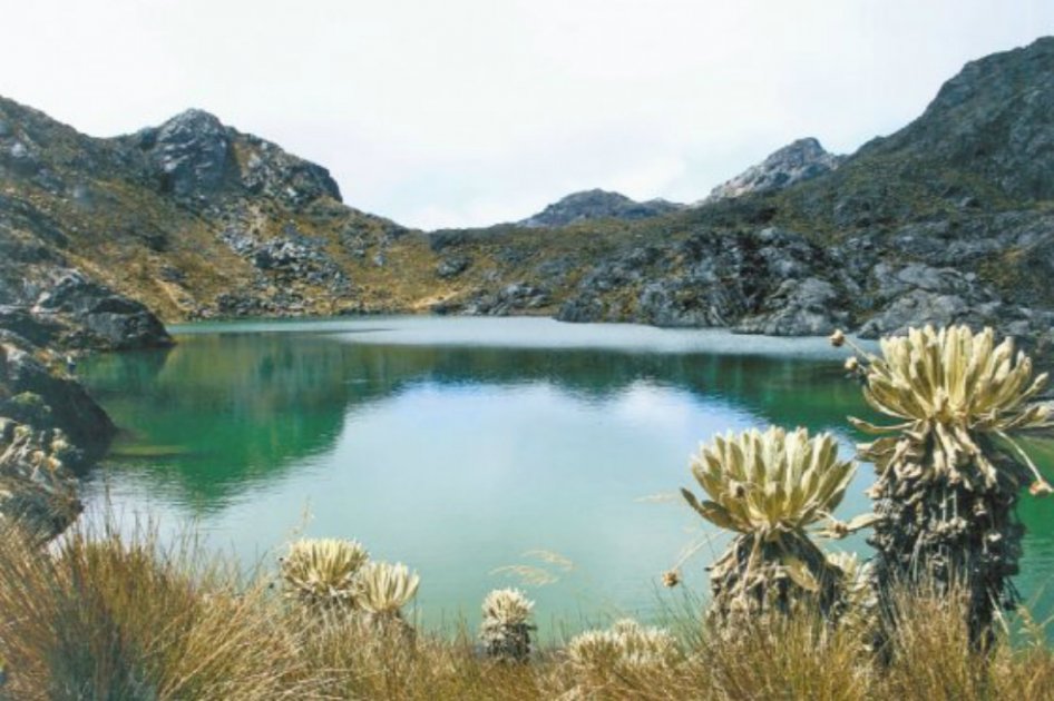 Los páramos ayudan a regular el ciclo hídrico y proveen de agua al 80 % de la población de los países andinos. / Archivo