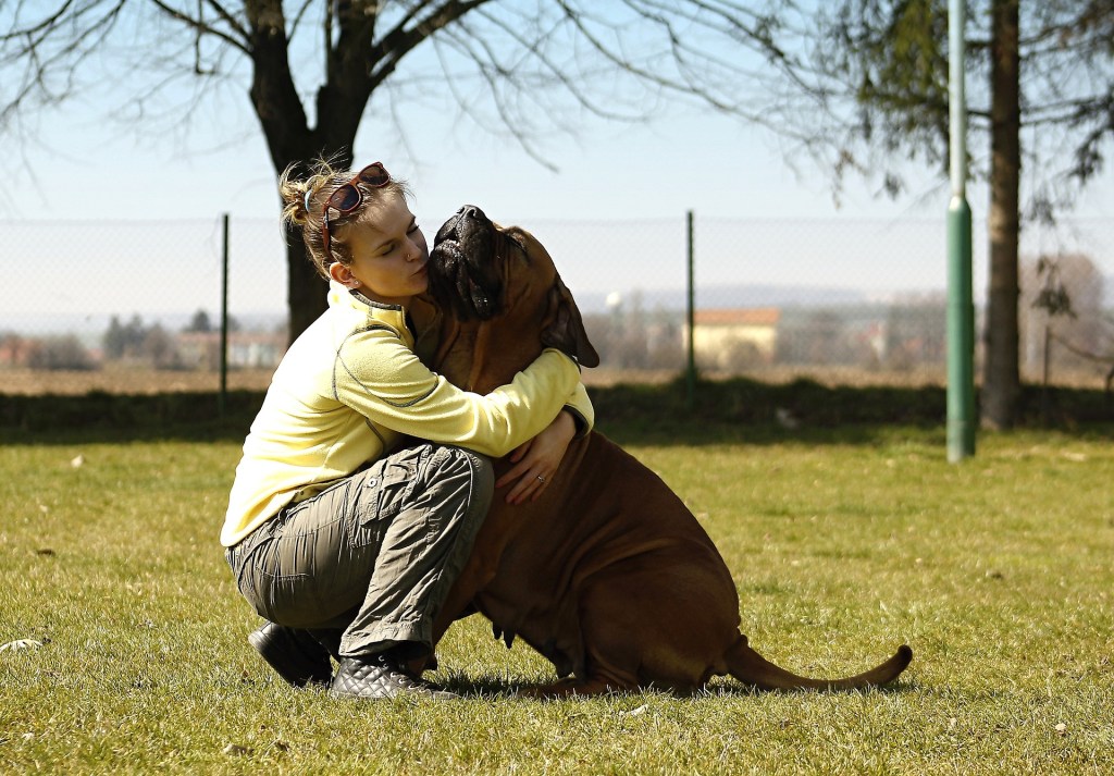 Humanizar a los animales: ¿cómo identificar una relación tóxica con su mascota?