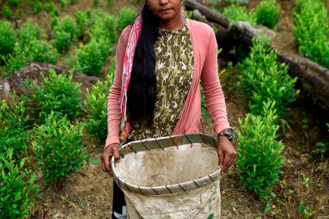 Las mujeres de Putumayo buscan una vida sin coca