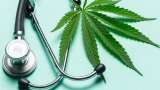 España regulará “próximamente” el uso del cannabis medicinal