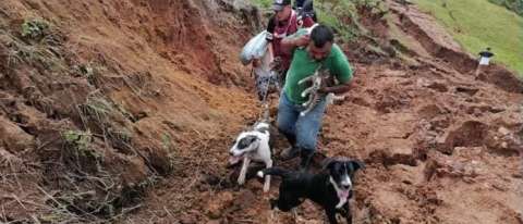 Campesinos no abandonaron a sus mascotas tras emergencia en Rosas, Cauca