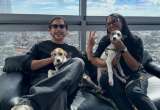 Alejandro Riaño adoptó a Rayo y Trueno, dos perros abandonados en Tierralta, Córdoba