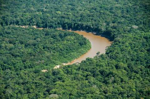 Colombia declara un nuevo Parque Nacional Natural: Serranía de Manacacías