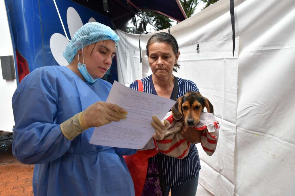 IPYBAC, el primer instituto departamental de bienestar animal nace en Cundinamarca