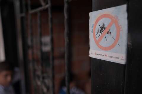 El cambio climático está modificando el mapa mundial del chikunguña, advierten científicos