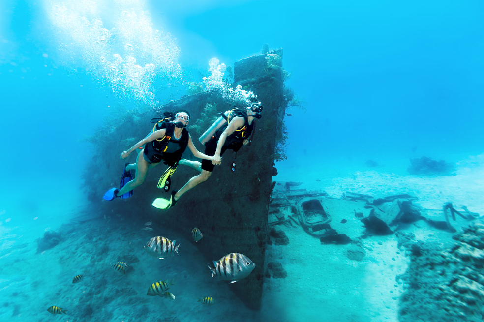 Como destino líder de buceo, Las Bahamas cuenta con algunos de los primeros y más experimentados centros de buceo del mundo.