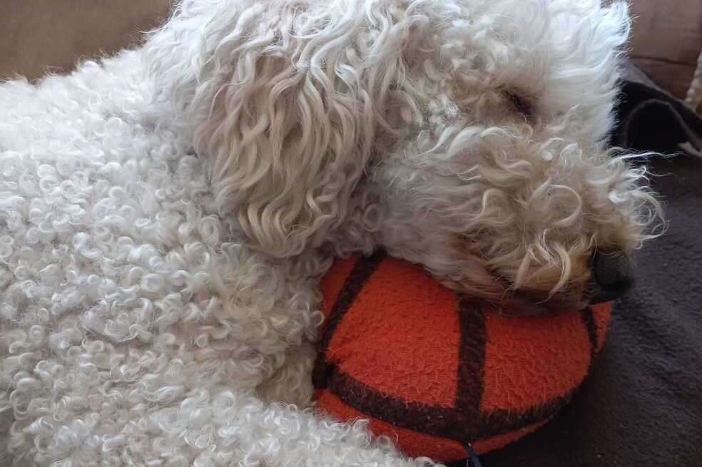 Tony suele dormir junto a un balón de peluche que le regaló Carolina Peña.