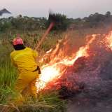 Incendios: no se puede perder de vista a la Amazonia