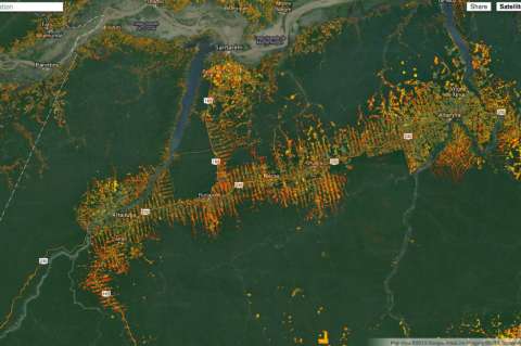 Indígenas podrán mapear deforestación amazónica con nuevo Google Earth