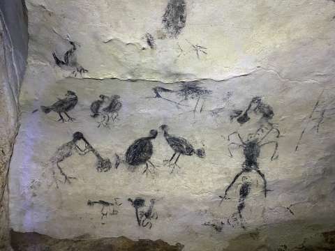 Arte rupestre: diseños, colores, motivos y lugares