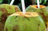 ¿Adiós al cocoloco? Prohíben uso de cocos para bebidas en San Andrés