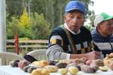 Alfonso Chinguad, el indígena que custodia más de 130 variedades de papa en su casa