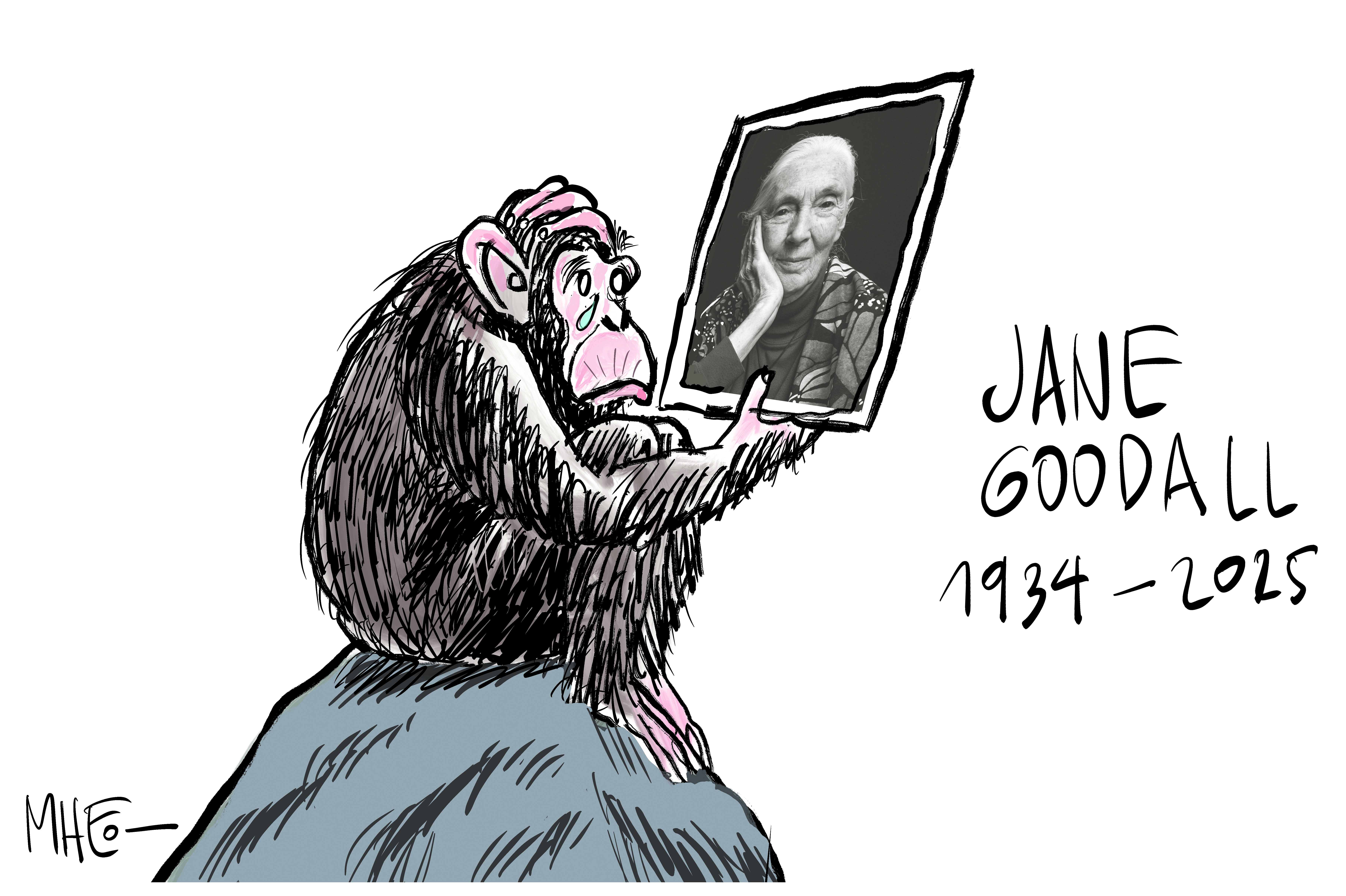 Caricaturas