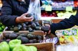 Récord de envíos de aguacate mexicano hunde precios en EE. UU.