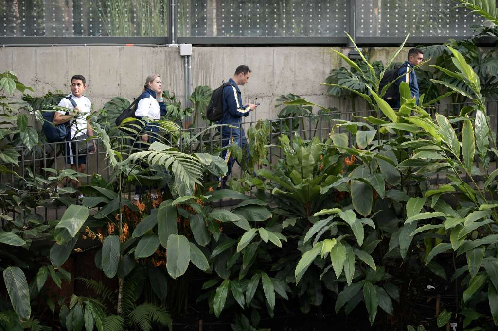Recorrido por el Tropicario, atracción de este jardín ubicado en Bogotá.