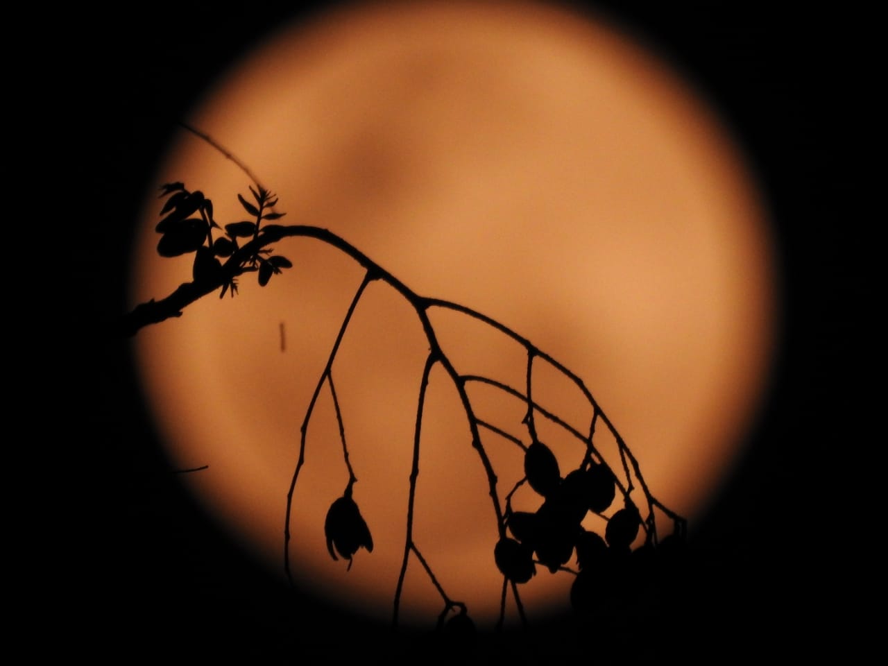 Superluna