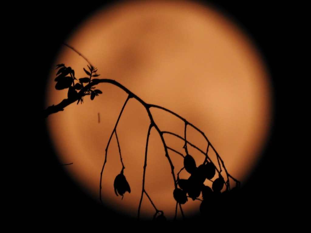 Esta fotografía de la superluna rosa fue tomada en Villeta, Cundinamarca, el 26 de abril de 2021.