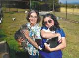 Gatos con leucemia e inmunodeficiencia felina son rescatados gracias a un refugio en Boyacá