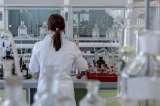Investigadores dan un paso más en el cultivo de riñones humanos dentro de un laboratorio