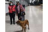 En video: el emotivo reencuentro de un niño con su perro perdido en TransMilenio