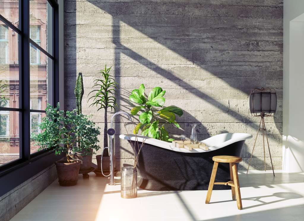 Fotografía que muestra una bañera en un baño de aspecto moderno con varias plantas.