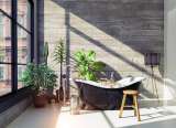 Las plantas que no deben ir en un baño sin luz (y cuáles sí prosperan allí)
