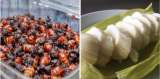 Dos comidas “callejeras” colombianas entre las peores del mundo, según Taste Atlas