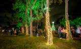 Navidad en Bogotá: estas son las actividades previstas para el inicio de las novenas