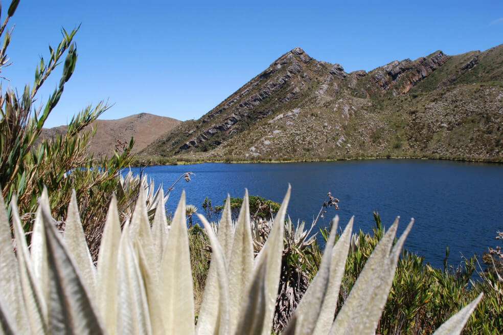 Empresa de Acueducto y Alcantarillado de Bogotá