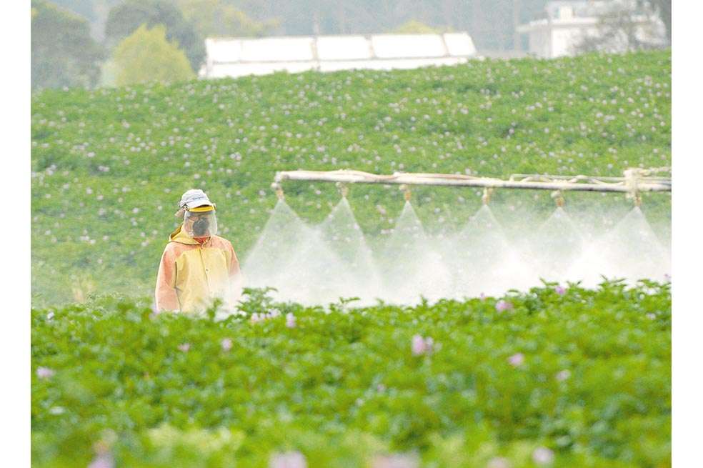 Desde hace cuatro décadas no se tenían registros oficiales del sector agropecuario del país. / Eliana Espinel