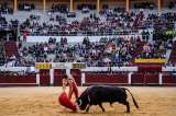 Ya hay fecha para la consulta antitaurina en Bogotá