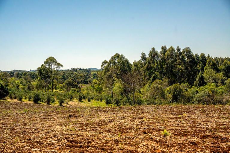 El Grupo de Mujeres Emprendedoras de Colonia Alegría, en Misiones, al noreste de Argentina, enfrentaba la degradación del bosque nativo y múltiples barreras para acceder a oportunidades productivas y fortalecer su autonomía económica. Esta situación amenazaba sus medios de vida, la salud del bosque —base de su identidad y sustento— y limitaba sus posibilidades de generar ingresos, mejorar su calidad de vida y consolidar su arraigo territorial.
