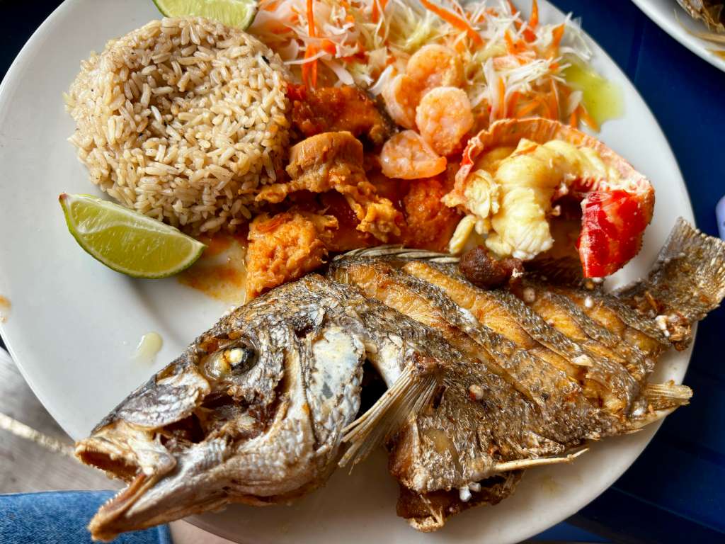 Gastronomía Providencia