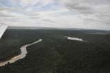 Conservación y gestión sostenible de los bosques, fundamentales para metas del 2030