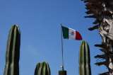Jalisco: La cuna del tequila, el mariachi y la charrería, símbolos de México