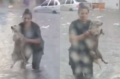 (Video) Policía salva a perro de morir ahogado tras las fuertes lluvias en Argentina