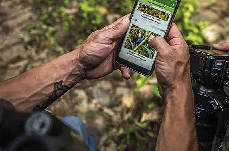 La App tiene tres módulos principales: la lista de las especies, la lista de registros hechos por el usuario, y el identificador según las características físicas.