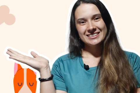 IVA a la venta de mascotas quedó incluido en la Reforma Tributaria