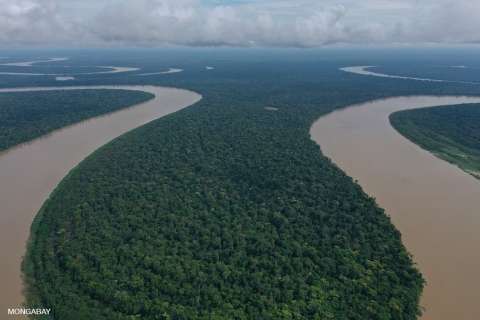 Día Internacional de los Bosques: comunidades, aliadas en su conservación