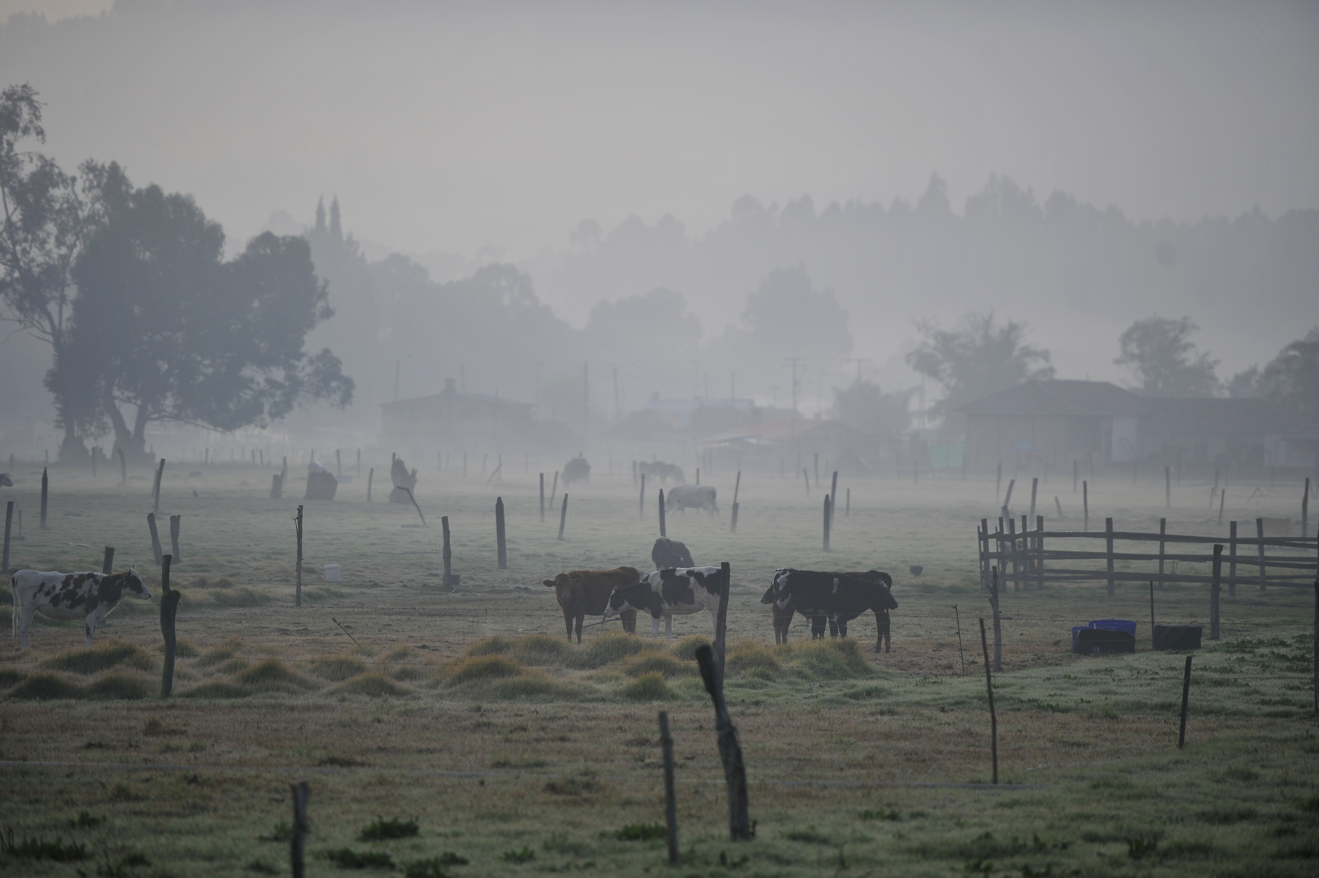 Bajas temperaturas en algunas zonas del departamento de Cundinamarca y algunos municipios de la sabana