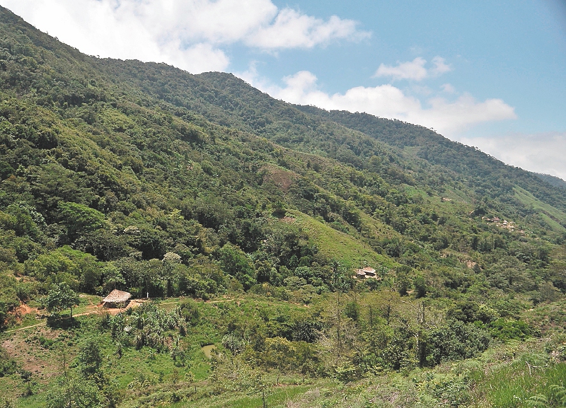 Sierra Nevada de Santa Marta