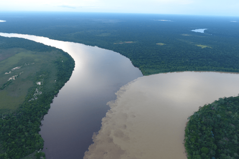 Pagos por servicios ambientales: un incentivo a la conservación de la Amazonía