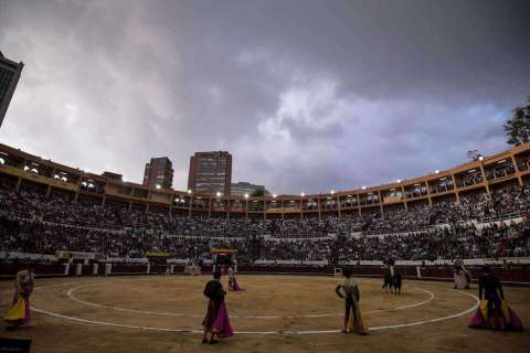 ¿Es viable regular las prácticas taurinas? El debate llega al Concejo de Bogotá