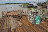 Así funciona el negocio en Chocó con madera ilegal del Clan del Golfo que estaría llegando a Europa 