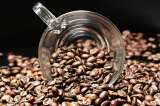 Banco Agrario anuncia ayudas para caficultores