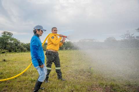 “Salvemos la Selva”, el programa que busca frenar la deforestación en la Amazonia